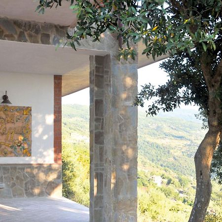 Гостевой дом Casale Il Gheppio Laureana Cilento Экстерьер фото