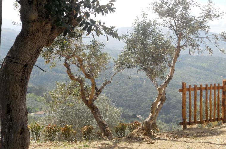 Гостевой дом Casale Il Gheppio Laureana Cilento Экстерьер фото