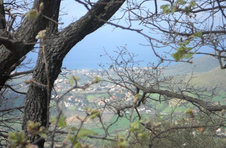 Гостевой дом Casale Il Gheppio Laureana Cilento Экстерьер фото