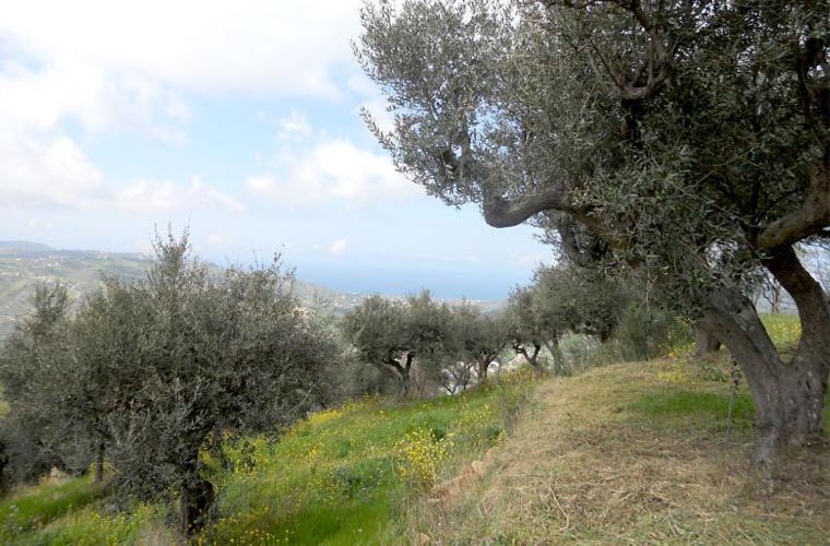 Гостевой дом Casale Il Gheppio Laureana Cilento Экстерьер фото