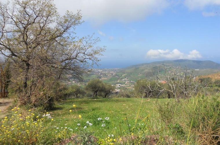 Гостевой дом Casale Il Gheppio Laureana Cilento Экстерьер фото
